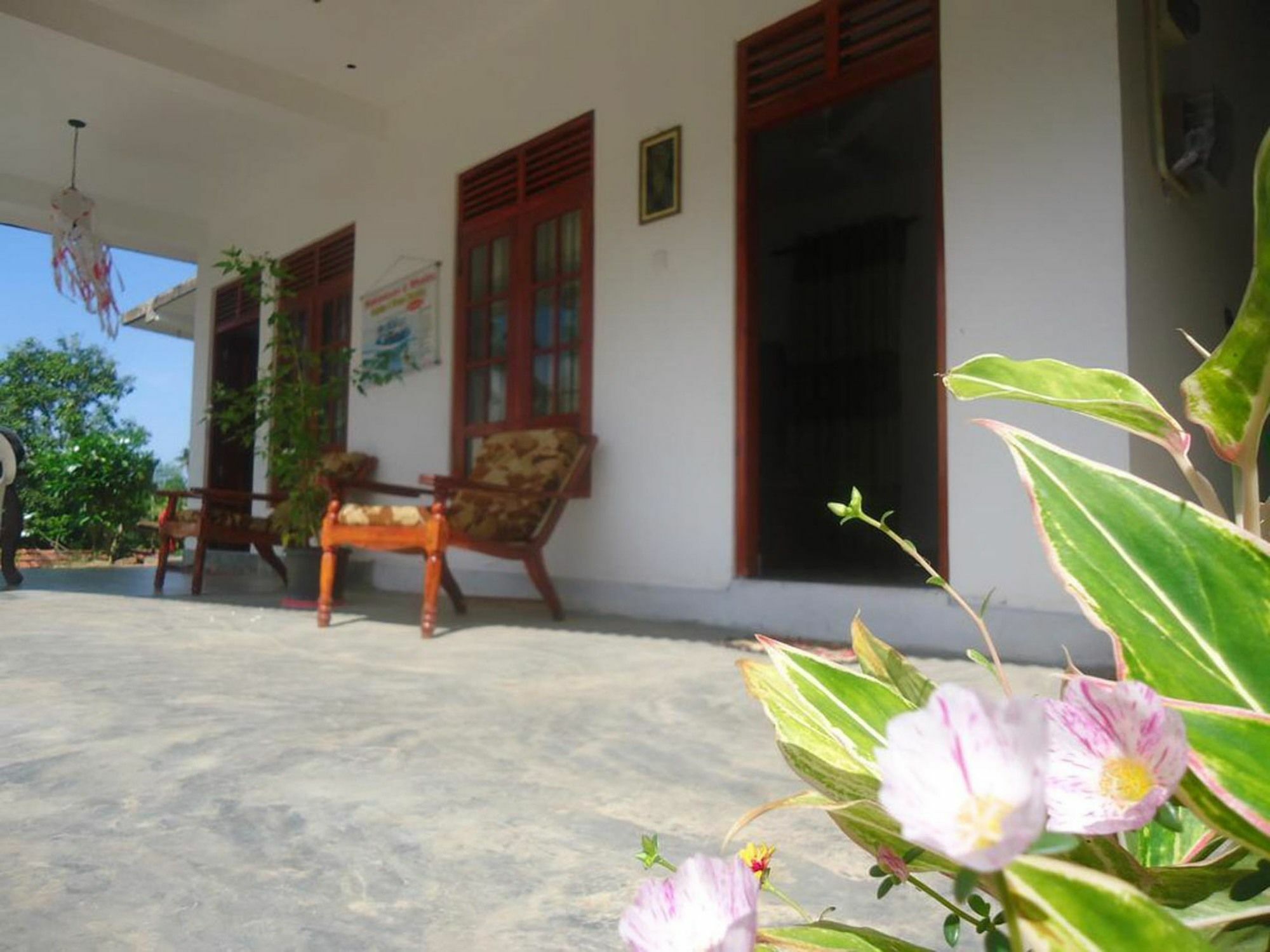 Yoho Blue Lotus Guest Mirissa Hotel Ngoại thất bức ảnh